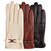 Dress Gloves (12)